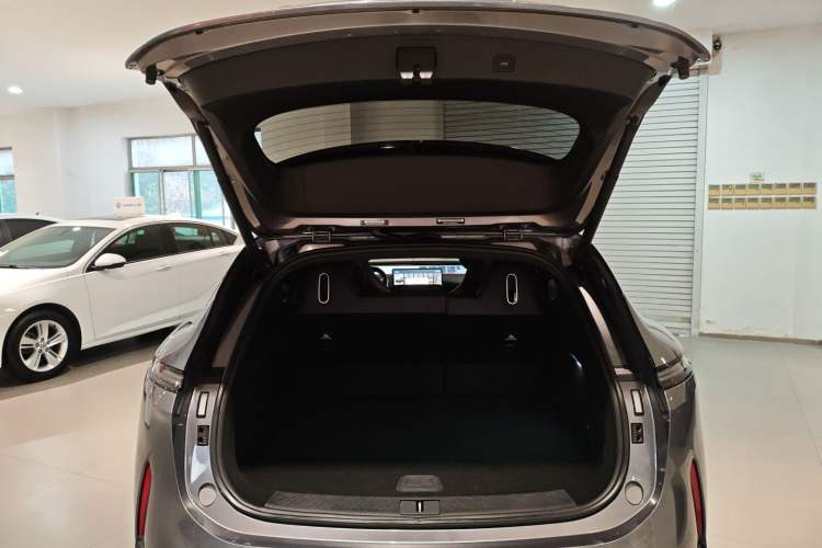 Used  07 2024 Max Extended-Range Edition
