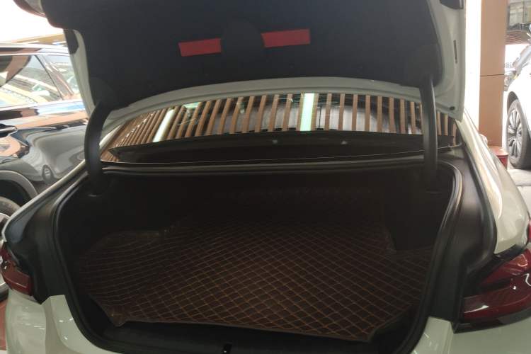 Used BMW 5 Series New Energy 2021 535Le Luxury Package
