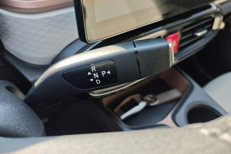 Used SOL E10X 2022 Flower Fairy Design Four-Leaf Clover