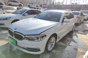 Used BMW 5 Series 2020 530Li Leading Edition Luxury Package
