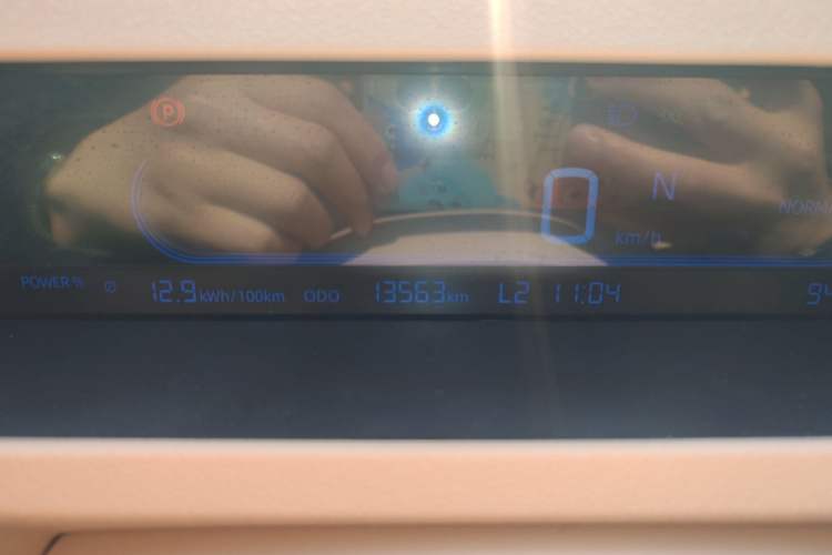 Used  Panda 2023 Panda Mini 200km Endurance Bear