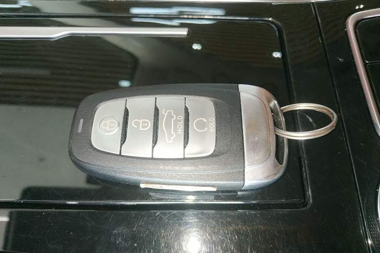 Used Hongqi H9 2020 2.0T Smart Connect Flagship Edition