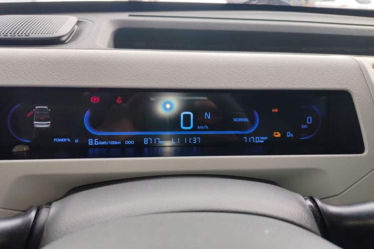 Used  Panda 2024 Panda Mini 200km Endurance Bear
