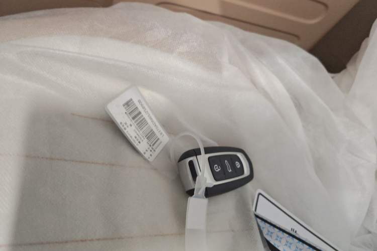 Used  Panda 2024 Panda Mini 200km Endurance Bear