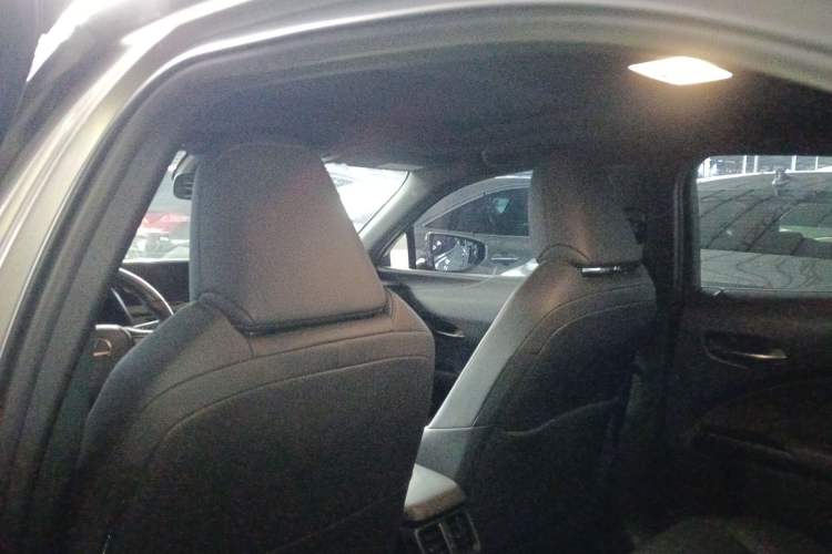 Used Lexus UX New Energy 2020 300e Pure·Joy Edition
