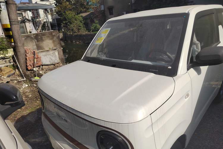 Used  Panda 2024 Panda Mini 200km Endurance Bear
