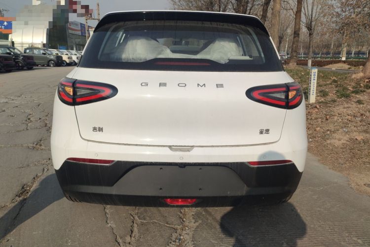 Used  Geome 2025 310km Dream Edition