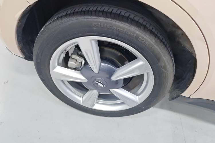 Used ORA Good Cat 2023 401 km Standard Range Luxury Version Ternary Lithium