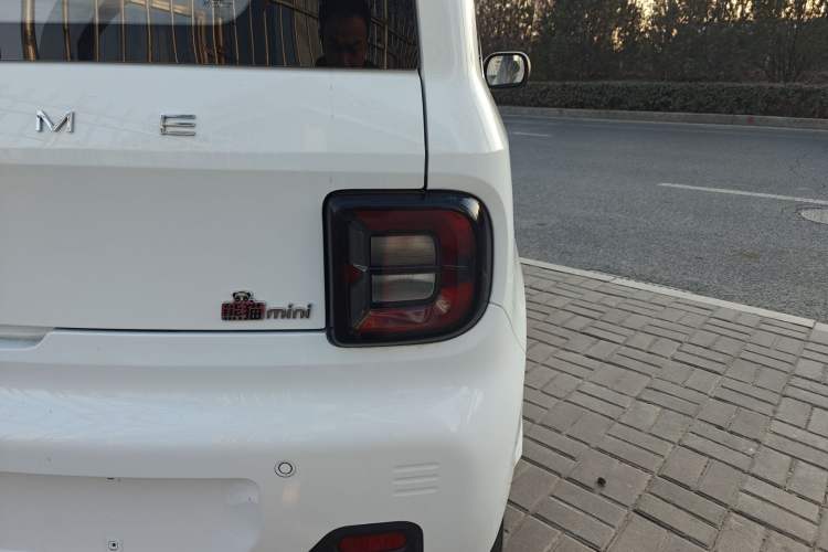 Used  Panda 2024 Panda Mini 200km Endurance Bear