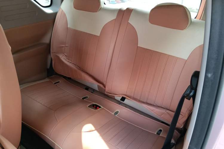 Used  Panda 2023 Panda Mini 200km Endurance Bear
