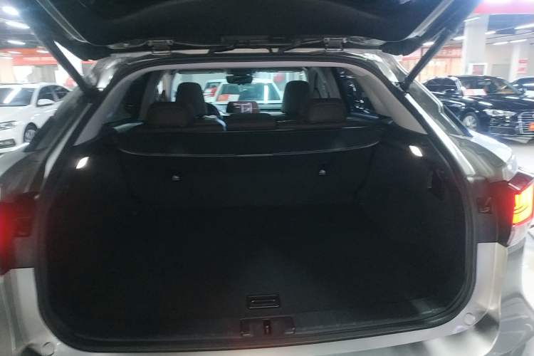 Used Lexus RX 2020 Facelifted 300 4x4 Elegant Edition
