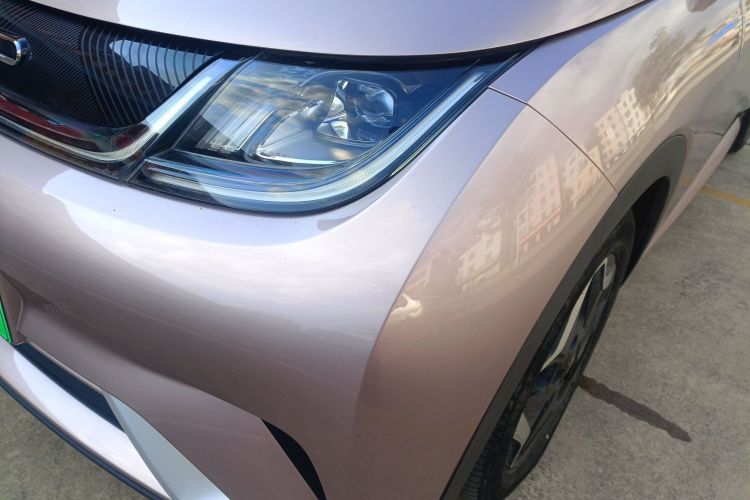 Used BYD Dolphin 2021 405 km Free Version