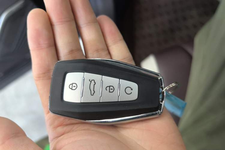 Used Geely Auto Monjaro L 2024 2.0TD High-Power Automatic Two-Wheel Drive Skyline Edition
