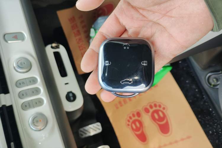 Used Qiyuan Lumin 2025 205 km Xiangqin Version