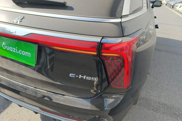 Used Hongqi E-HS9 2021 460 km Range Flagship Edition Six-Seater
