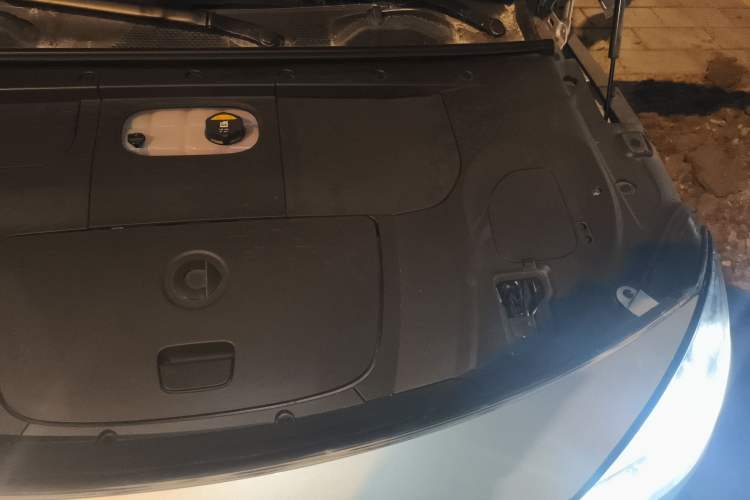 Used  #1 2023 Pro Edition