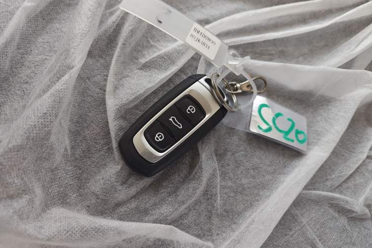 Used  Panda 2024 Panda Mini 200km Endurance Bear