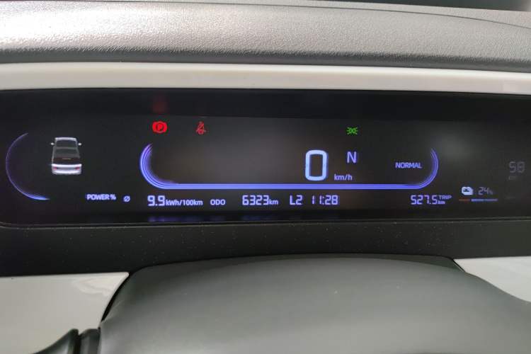 Used  Panda 2025 210 km – Yuanqi Bear