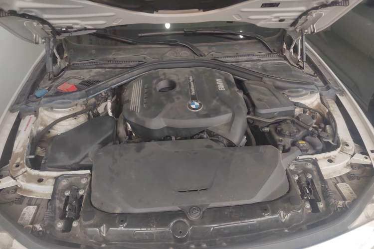 Used BMW 3 Series 2019 320Li Fashion Model
