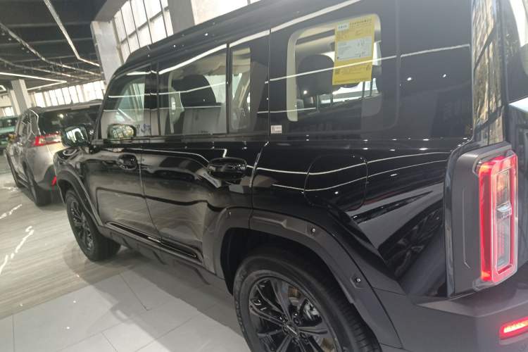 Used Haval Raptor New Energy 