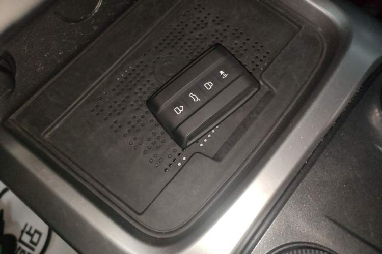 Used Tank 300 2024 2.0T Conqueror
