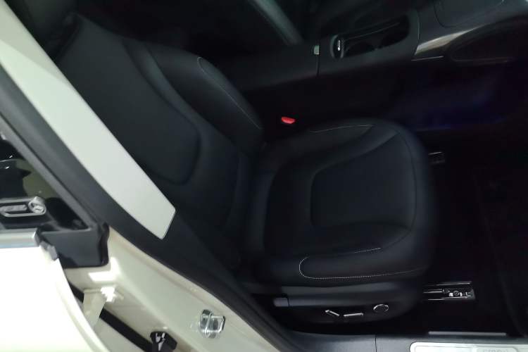 Used  #1 2024 Dynamic Standard Edition
