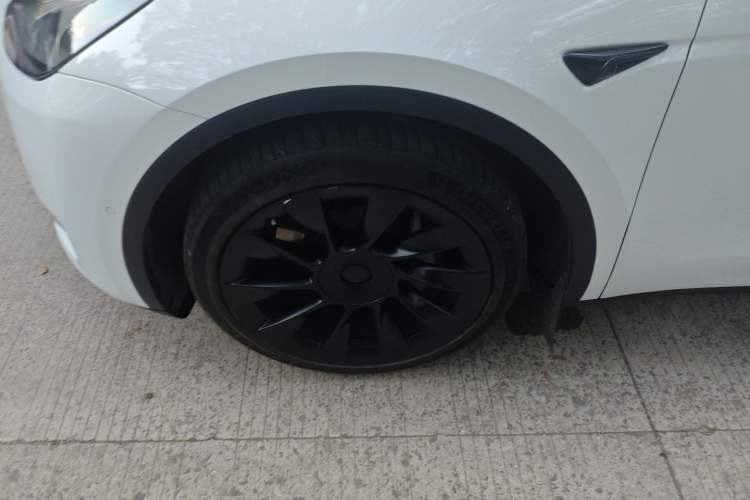 Used Tesla Model Y 2021 Long-Range All-Wheel-Drive Version
