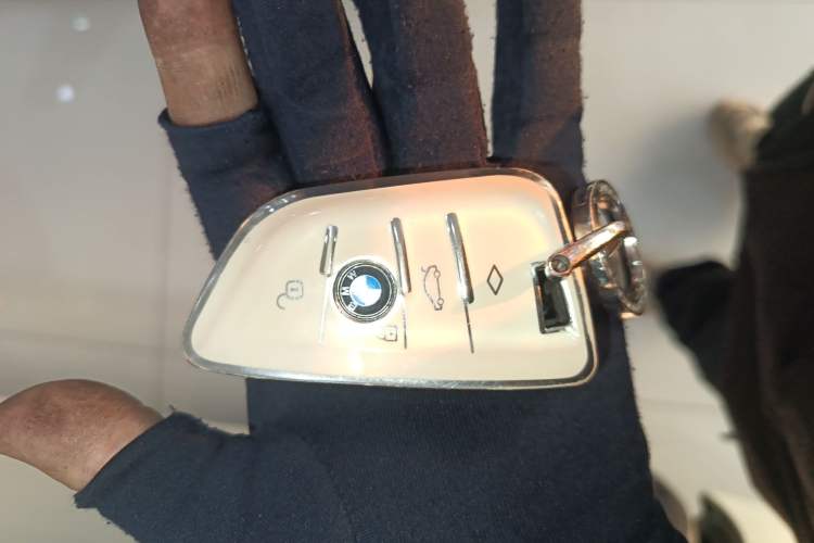 Used BMW 5 Series 2019 530Li Leading Model Luxury Package
