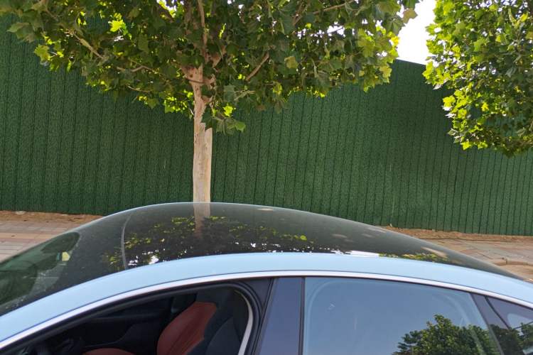 Used XPeng P7 2020 Rear-Drive Long-Range Smart Drive Version
