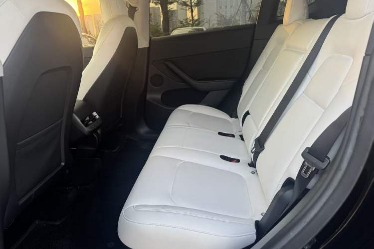 Used Tesla Model Y 2021 Performance High-Performance All-Wheel-Drive Version
