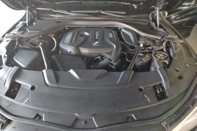 Used BMW 7 Series 2018 730Li Luxury Model Excellence Package
