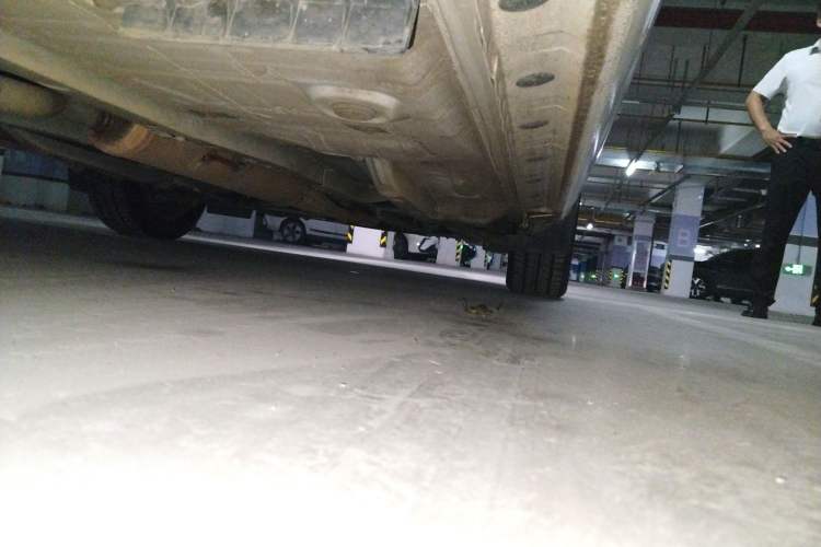 Used Toyota YARiS L 2021 1.5L CVT Leading Edition