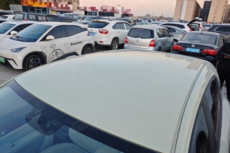 Used  Geome 2025 310km Dream Edition
