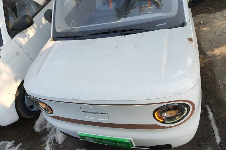 Used  Panda 2024 Panda Mini 200km Endurance Bear
