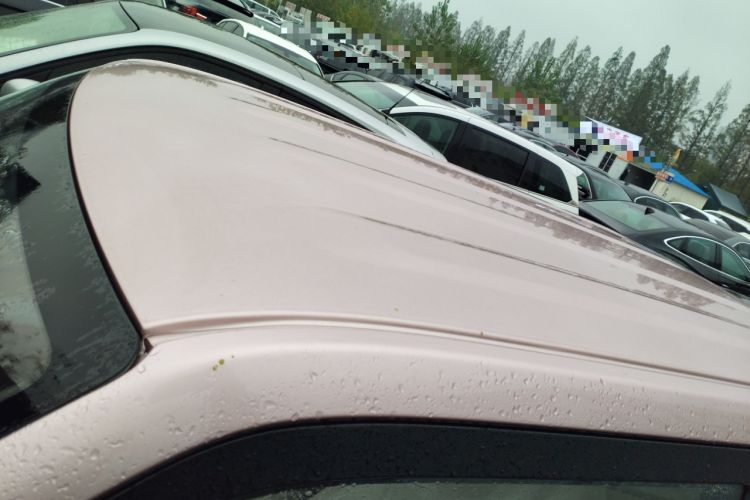 Used  Panda 2024 Panda Mini 200km Endurance Bear