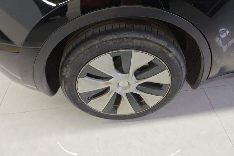 Used Tesla Model Y 2021 Standard Range Rear-Wheel Drive Version
