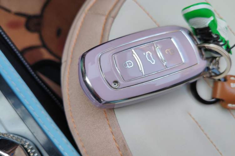 Used  Panda 2023 Panda Mini 200km Dynamic Bear