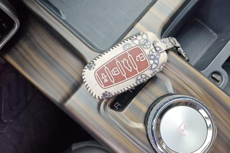 Used Haval DARGO 2022 2.0T DCT All-Wheel-Drive Xiaotianque Version
