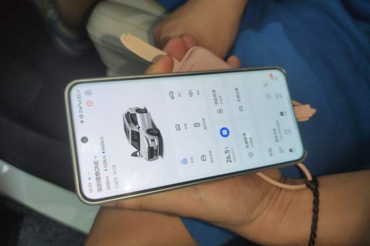 Used Li Auto ONE 2020 Extended-Range 6-Seater Version
