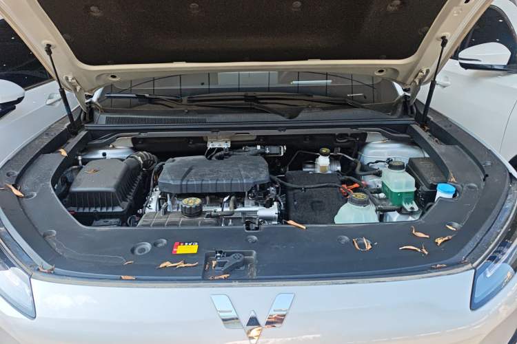 Used Wuling Xingguang S 2024 130 km Flagship Version
