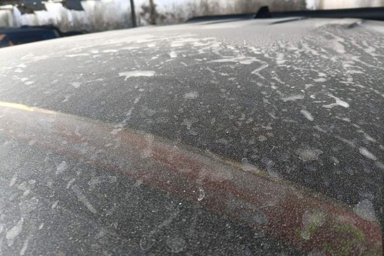 Used Great Wall Poer 2023 2.0T Commercial Version Automatic Diesel 4x4 Elite Long-Box GW4D20M
