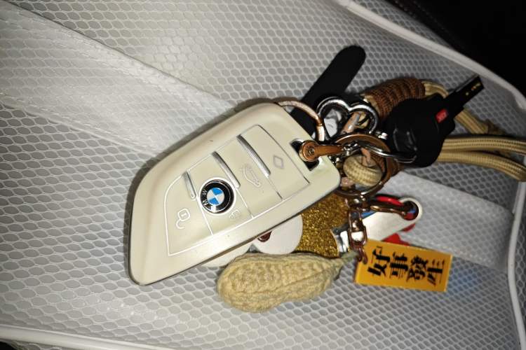 Used BMW X1 2022 sDrive20Li Luxury Model
