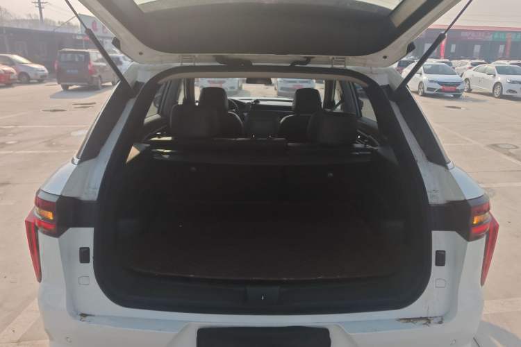 Used Venucia Star 2020 260T Automatic 48V Mild Hybrid Turbocharged Star Edition
