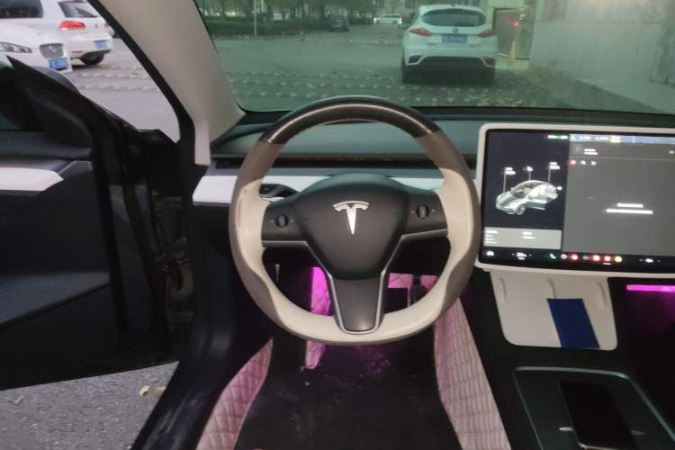 Used Tesla Model 3 2021 Standard Range Rear-Wheel Drive Upgraded Version 3D6