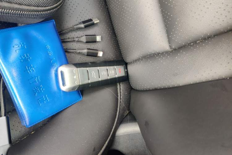 Used Wey VV6 2021 2.0T Two-Wheel Drive Smart Protection+
