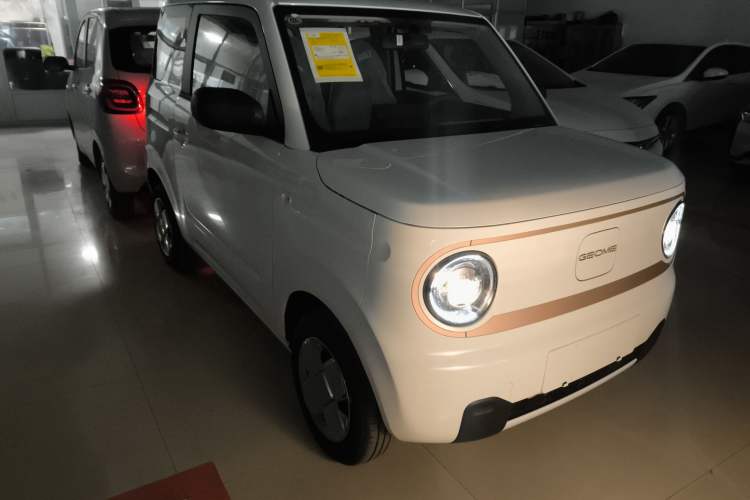 Used  Panda 2024 Panda Mini 200km Endurance Bear
