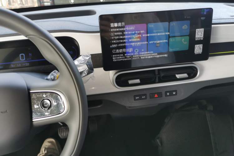 Used  Panda 2025 210 km – Yuanqi Bear
