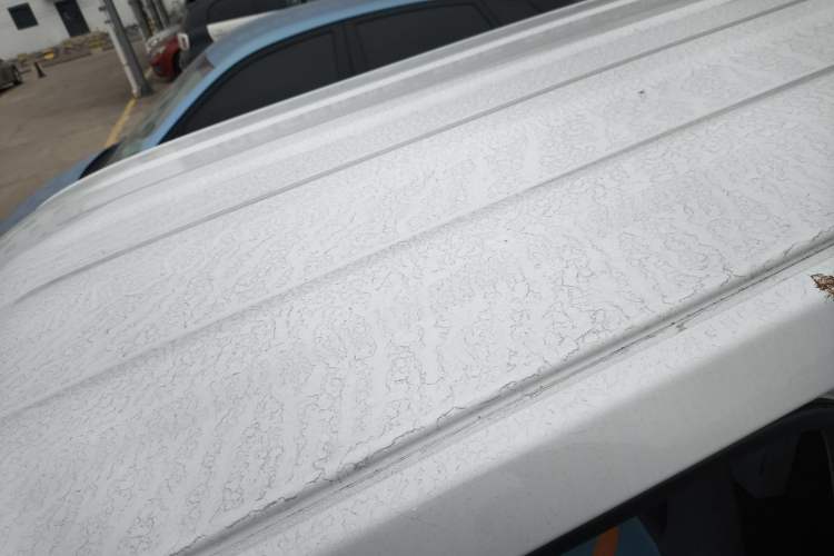 Used  Panda 2023 Panda Mini 120km Cute Bear
