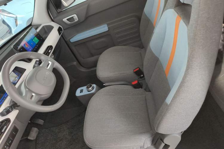 Used  Panda 2023 Panda Mini 200km Endurance Bear
