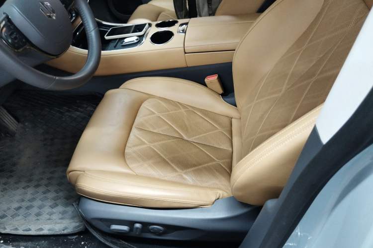 Used Leapmotor C01 2024 Pure Electric 525 Luxury Edition
